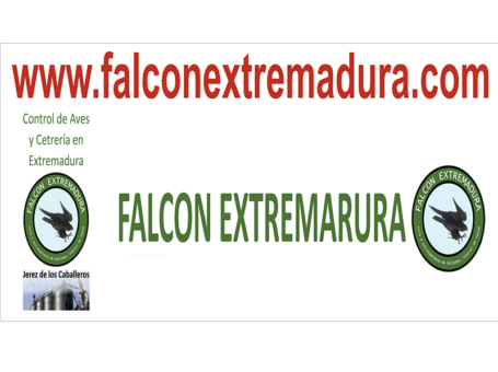 FALCON EXTREMADURA