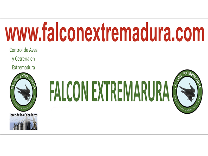FALCON EXTREMADURA
