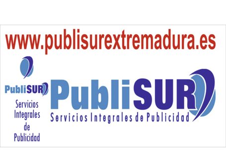 PUBLISUR