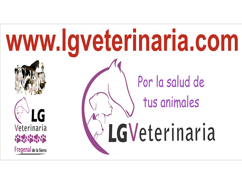 LG VETERINARIA