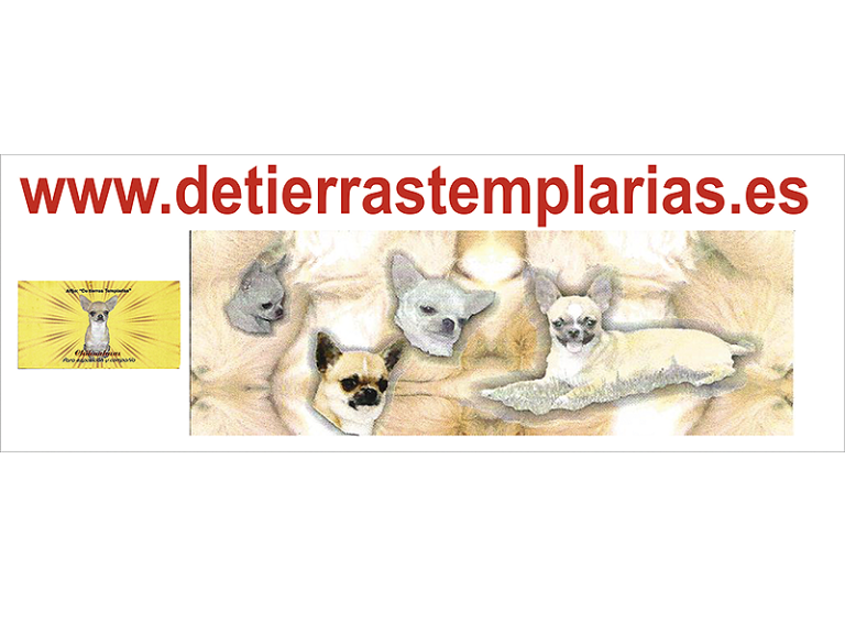 CHIHUAHUA DE TIERRAS TEMPLARIAS