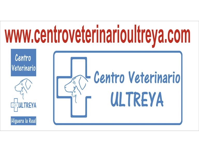 CLÍNICA VETERINARIA ULTREYA