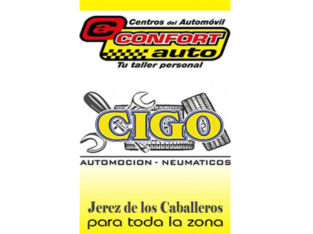 NEUMÁTICOS CIGO