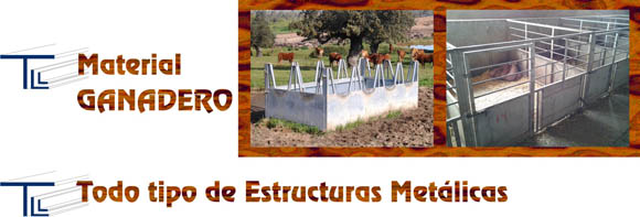 cerrajeria teodoro lozano