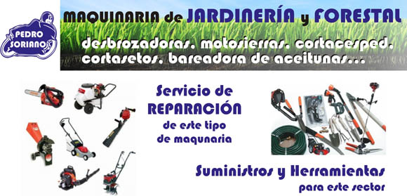 motos pedro soriano