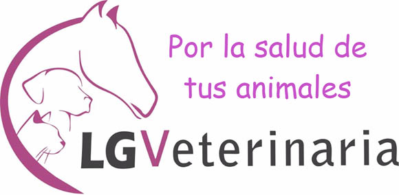 www.lgveterinaria.com-lg_veterinaria-clinica_veterinaria-veterinario-tienda_para_mascotas-veterinarios_en_fregenal_de_la_sierra-higuera_la_real-cumbres_mayores-encinasola-jerez_de_los_caballeros-bodonal_de_la_sierra-segura_de_leon-fuentes_de_leon-alimentacion_perros_y_gatos_arion_titanium-radiologia-ecografia_animal-analisis_clinicos-hospitalizacion-odontologia_equina-peluqueria_canina