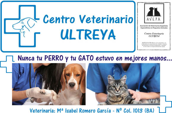 www.centroveterinarioultreya.com, veterinario en higuera la real, veterinario en fregenal de la sierra, veterinario en jerez de los caballeros, veterinario en cumbres mayores, veterinario en encinasola, peluqueria canina perros y gatos, estetica mascotas higuera la real, clinica veterinaria, centro veterinario, vacuna perro gato, medicina perros y gatos, veterinario perros y gatos, identificacion perros y gatos, alimentacion pienso perros y gatos