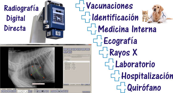 www.centroveterinarioultreya.com, veterinario en higuera la real, veterinario en fregenal de la sierra, veterinario en jerez de los caballeros, veterinario en cumbres mayores, veterinario en encinasola, peluqueria canina perros y gatos, estetica mascotas higuera la real, clinica veterinaria, centro veterinario, vacuna perro gato, medicina perros y gatos, veterinario perros y gatos, identificacion perros y gatos, alimentacion pienso perros y gatos