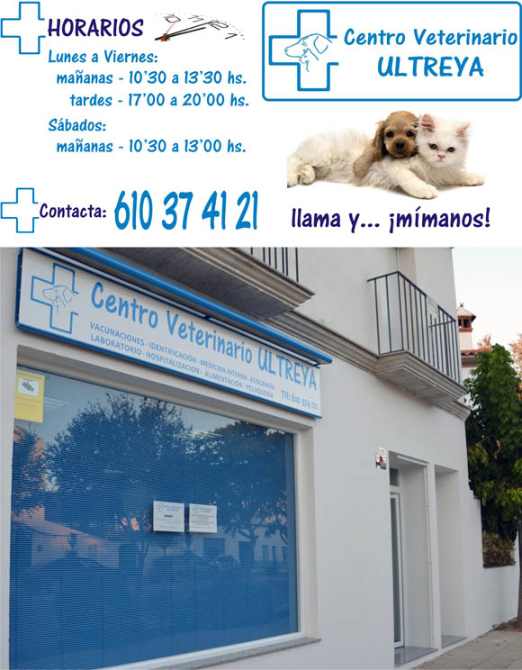 www.centroveterinarioultreya.com, veterinario en higuera la real, veterinario en fregenal de la sierra, veterinario en jerez de los caballeros, veterinario en cumbres mayores, veterinario en encinasola, peluqueria canina perros y gatos, estetica mascotas higuera la real, clinica veterinaria, centro veterinario, vacuna perro gato, medicina perros y gatos, veterinario perros y gatos, identificacion perros y gatos, alimentacion pienso perros y gatos