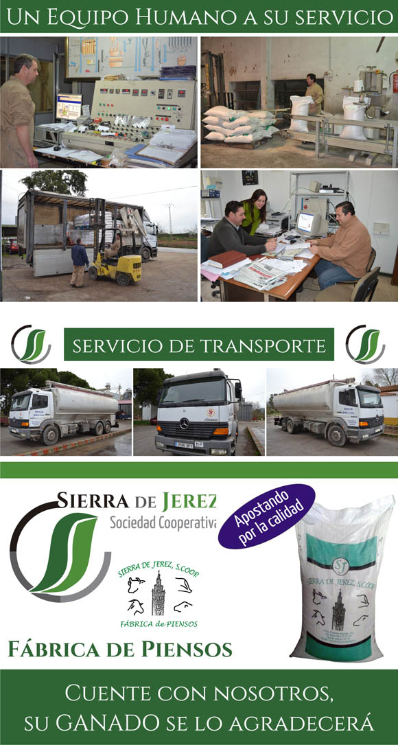 www.sierradejerez.com , sierradejerez, sierra de jerez, fabrica de piensos en valuengo jerez de los caballeros la bazana fregenal de la sierra brovales burguillos del cerro, pienso para vacas, pienso para cerdos, comida para animales, alimentación animal, piensos a granel y en saco, transporte de piensos, piensos puestos en finca, gasoil diesel agrícola combustible barato