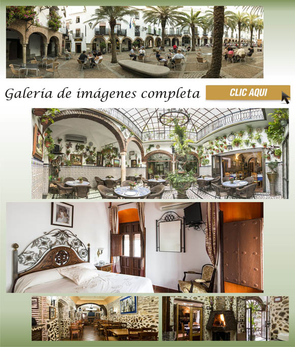 www.hotellaspalmeraszafra.com , hotel las palmeras, hotel hoteles en zafra, restaurantes, dormir en zafra, bares, comer pasar la noche en zafra jerez de los caballeros fregenal de la sierra burguillos del cerro, feria ganadera de zafra, hospedarse en zafra los santos de maimona la puebla de sancho perez merida badajoz, hotel con encanto, turismo rural, empresas en zafra, ayuntamiento de zafra