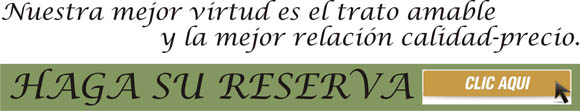 www.hotellaspalmeraszafra.com , hotel las palmeras, hotel hoteles en zafra, restaurantes, dormir en zafra, bares, comer pasar la noche en zafra jerez de los caballeros fregenal de la sierra burguillos del cerro, feria ganadera de zafra, hospedarse en zafra los santos de maimona la puebla de sancho perez merida badajoz, hotel con encanto, turismo rural, empresas en zafra, ayuntamiento de zafra